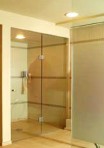 Shower Door + Panel Pool Area
